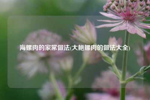 海螺肉的家常做法(大鲍螺肉的做法大全)