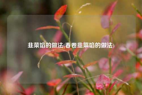 韭菜馅的做法(春卷韭菜馅的做法)